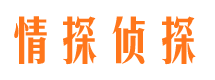 峄城侦探公司